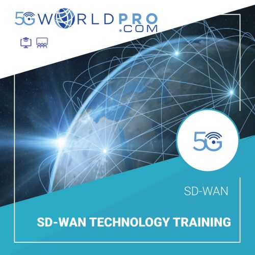 SD-WAN Technology Training